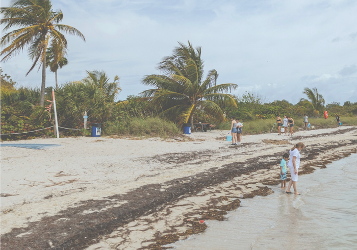Bolsa Chica State Beach Cleanup Recap