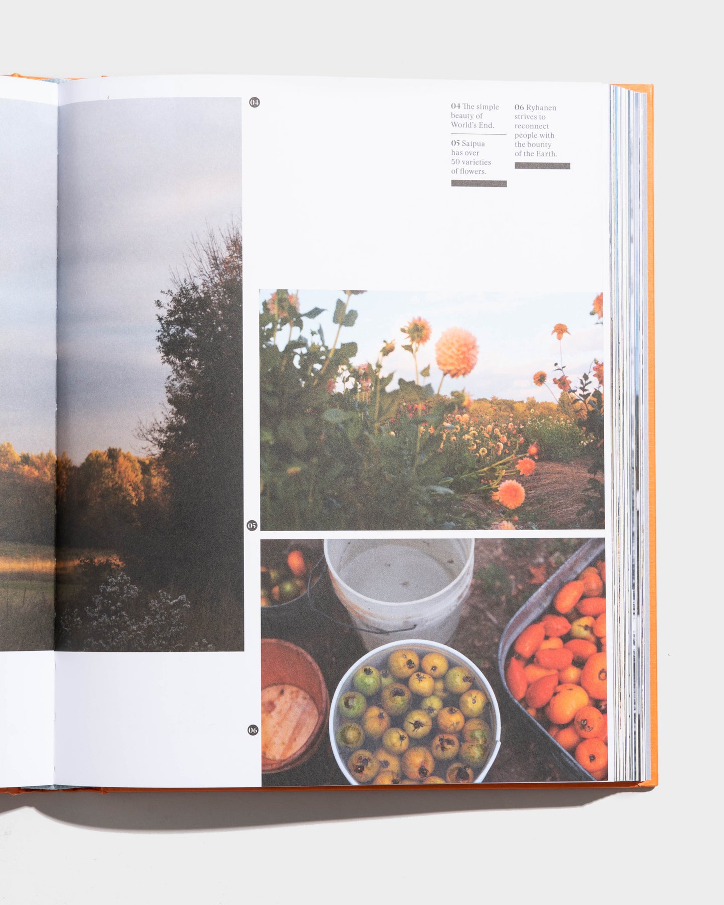 Le nouveau traditionnel