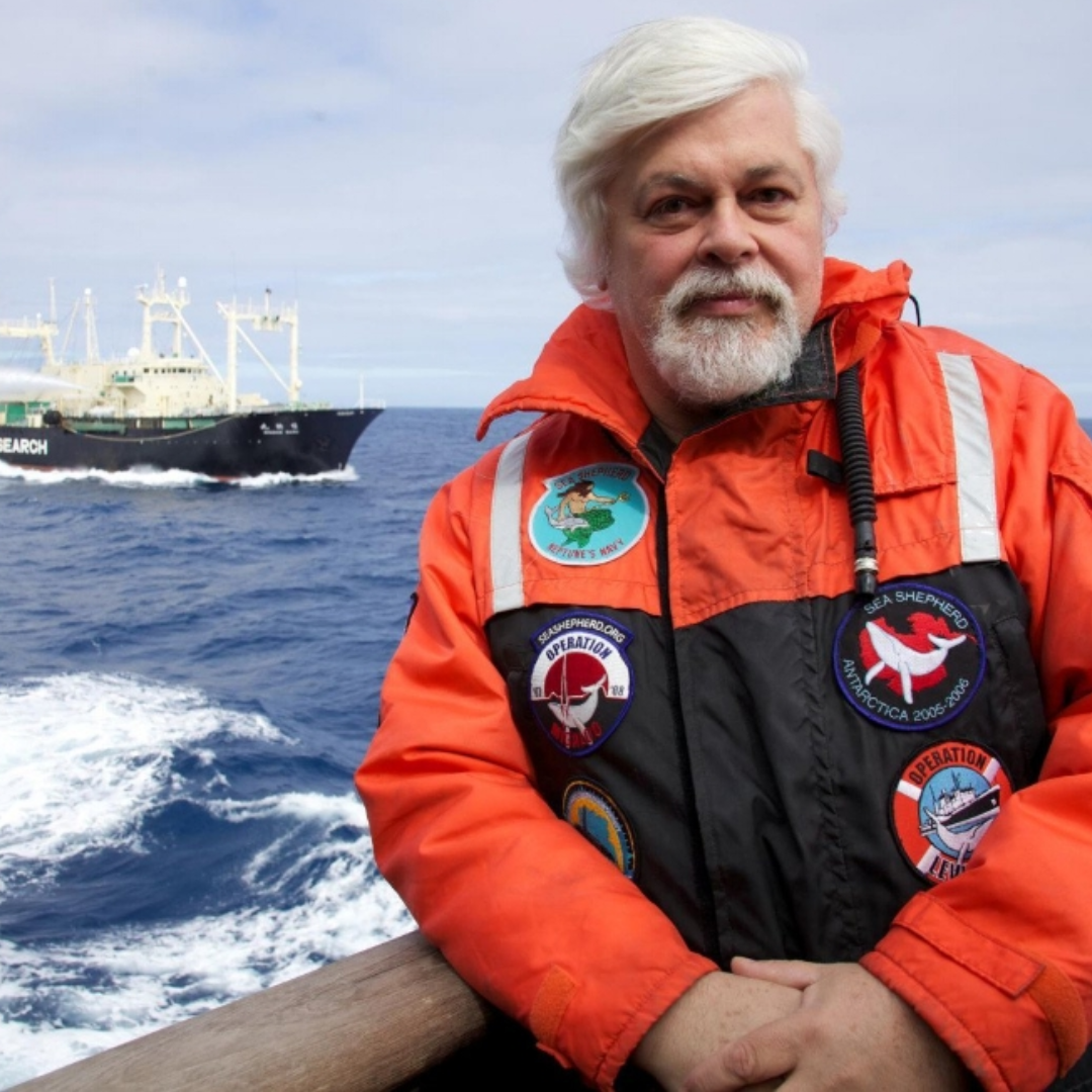 CALL TO ACTION: Free Paul Watson – United By Blue