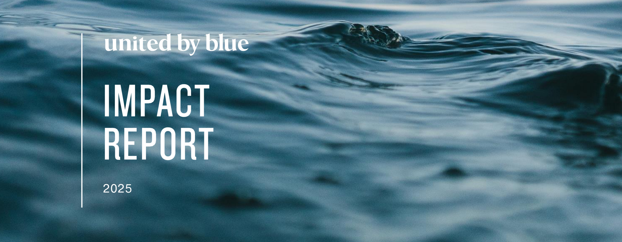 United By Blue 2025 Impact Report — click to read the full report