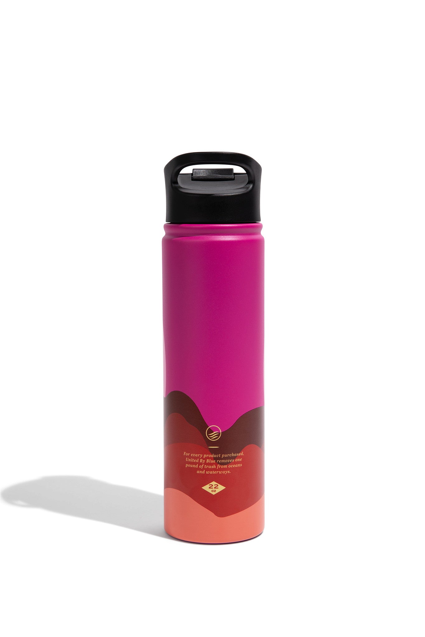 Insulated Steel Bottle 22 Oz.