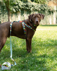 Casa de la Moneda Geo