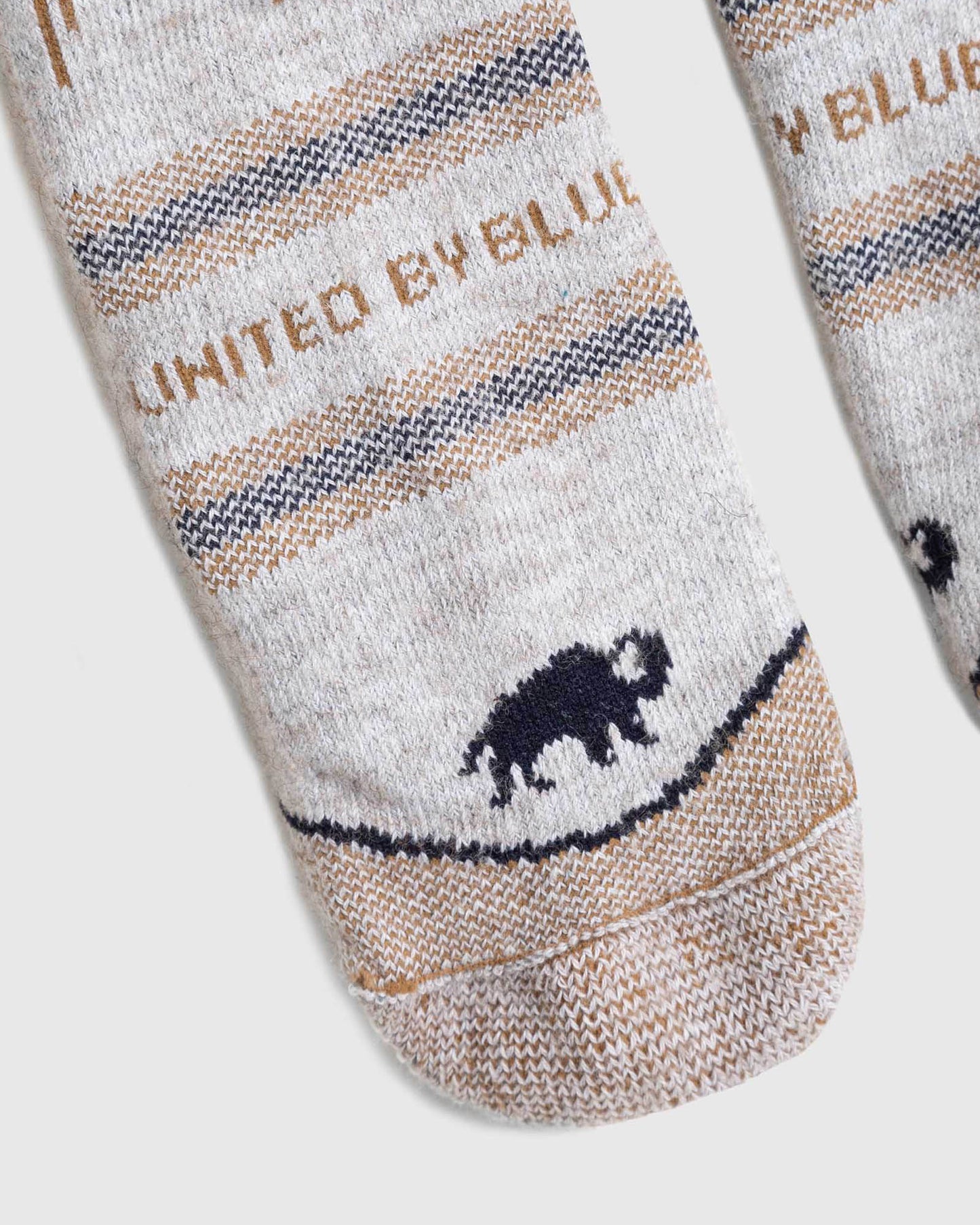 The Imperfect Bison Trail Sock