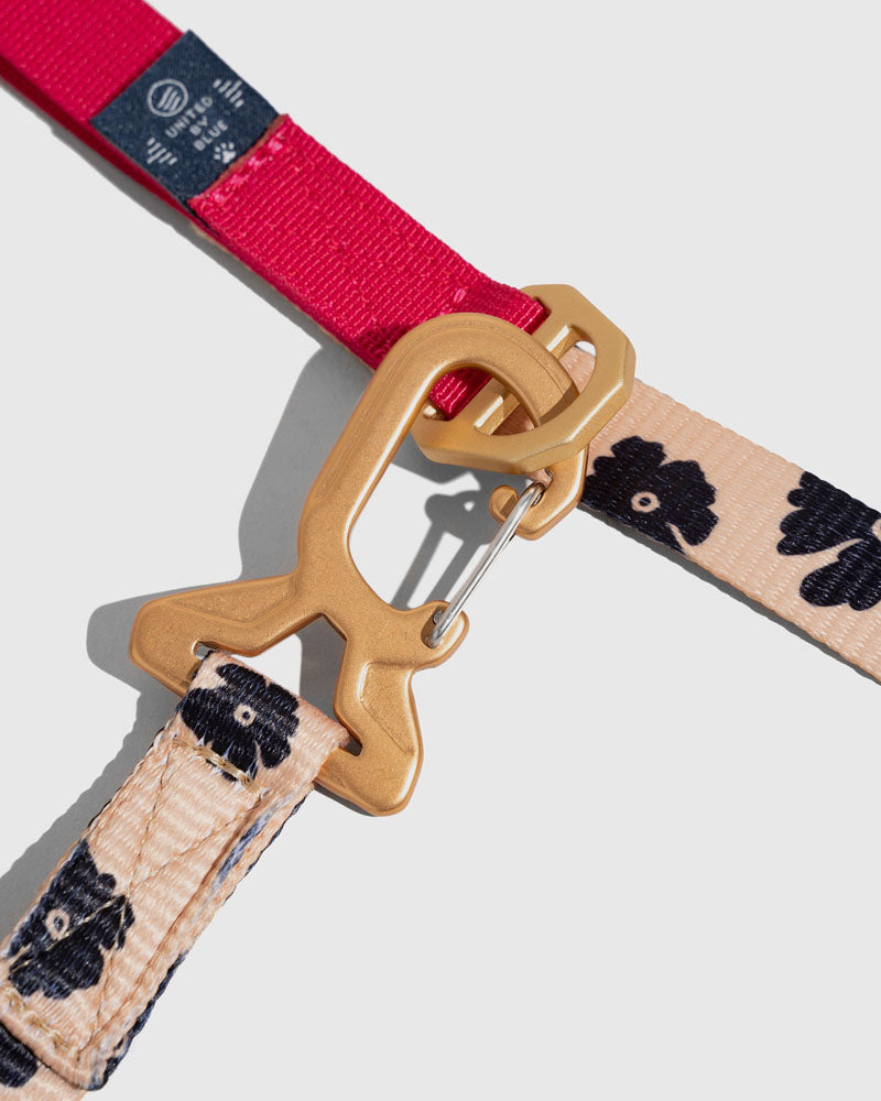 Louis Vuitton leather dog harness  Louis vuitton dog collar, Dog