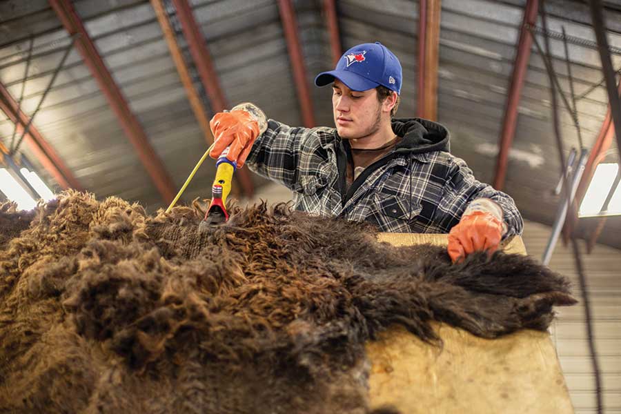Shearing and fiber processing